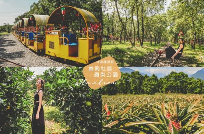 花蓮瑞穗景點：富興社區鳳梨公園 搭小火車暢遊綠森林