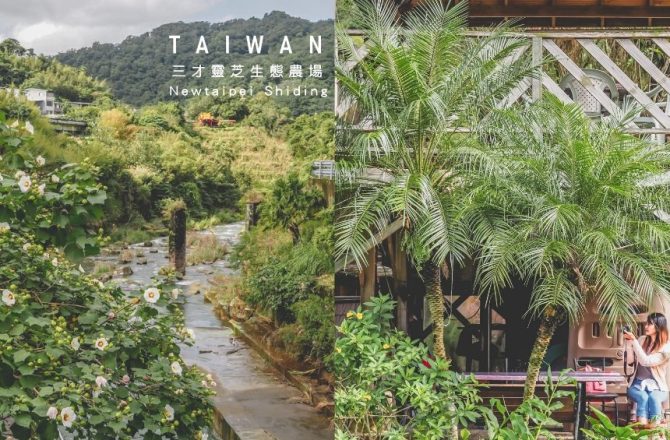 石碇文山煤礦站 三才靈芝生態農場 彷若於森林中，享受泡腳樂。